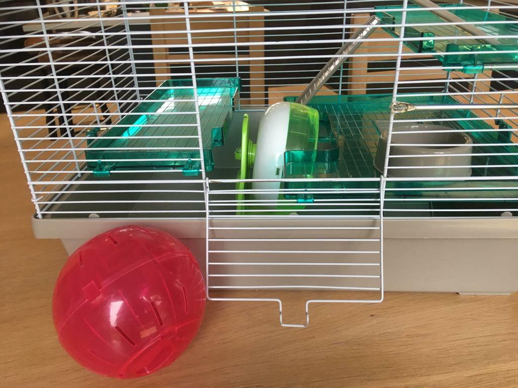 gumtree hamster cage